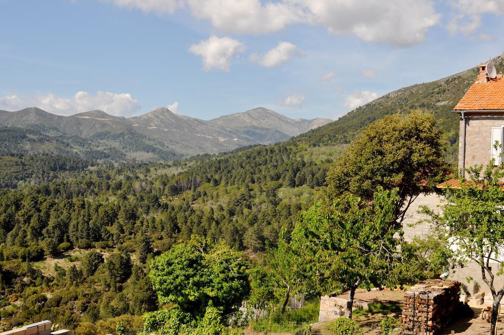 Chambres D'Hotes Villa Cardellini Aullene Exterior foto